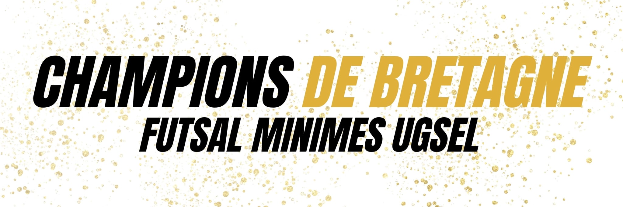 champions de breatgne de futsal fba champions de breatgne de futsal fba